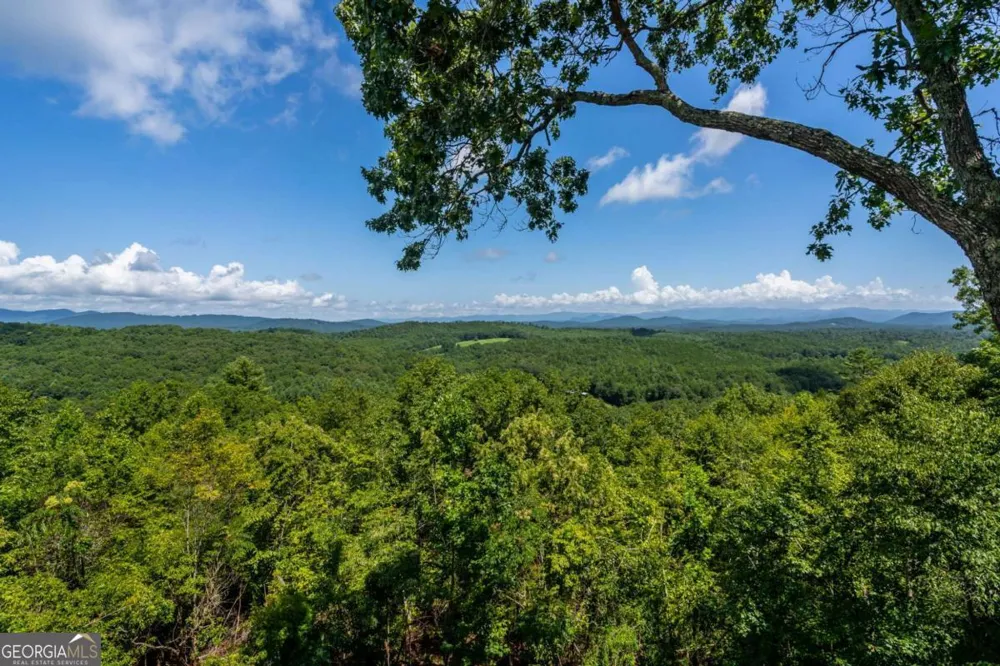334 Hawksclaw TRL Morganton, GA 30560