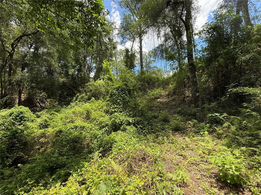 SW 53RD PL ocala, FL 34481