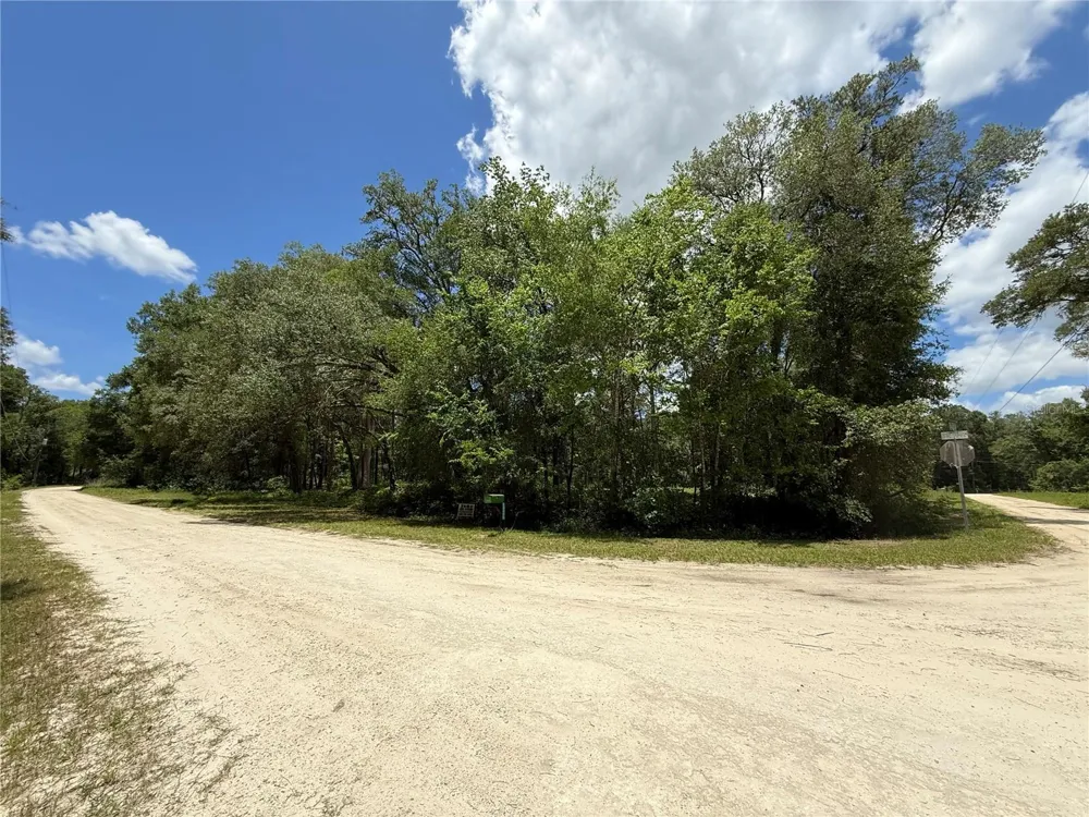 SW 53RD PL ocala, FL 34481