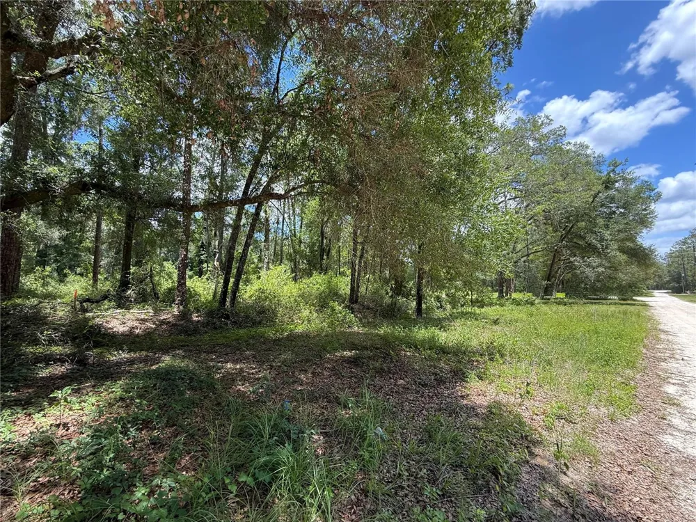 SW 53RD PL ocala, FL 34481