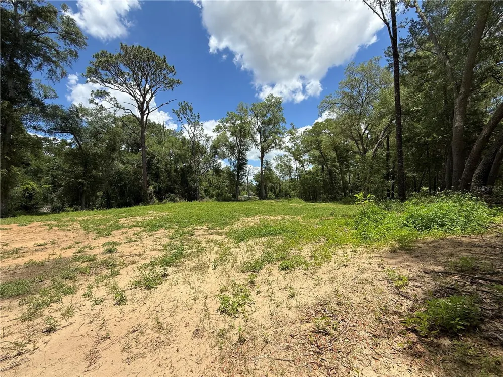 SW 53RD PL ocala, FL 34481