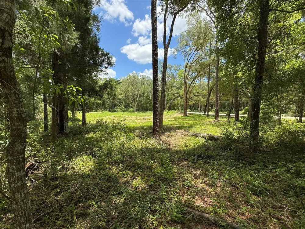 SW 53RD PL ocala, FL 34481