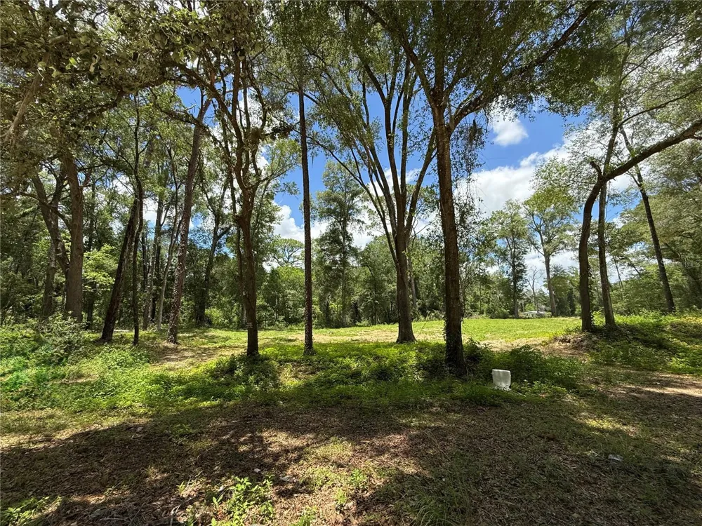 SW 53RD PL ocala, FL 34481