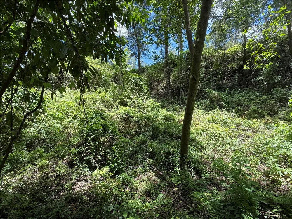 SW 53RD PL ocala, FL 34481