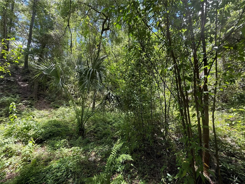 SW 53RD PL ocala, FL 34481