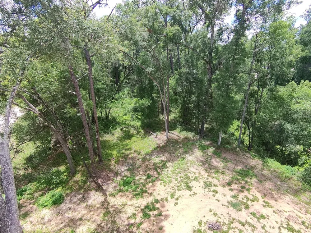 SW 53RD PL ocala, FL 34481
