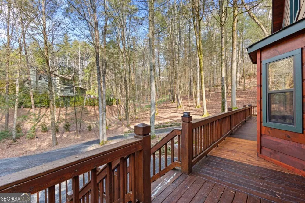 105 River RD Cherry Log, GA 30522
