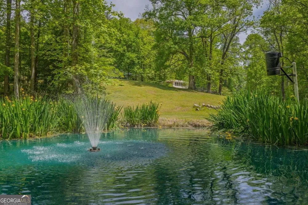 153 January LN Ellijay, GA 30540