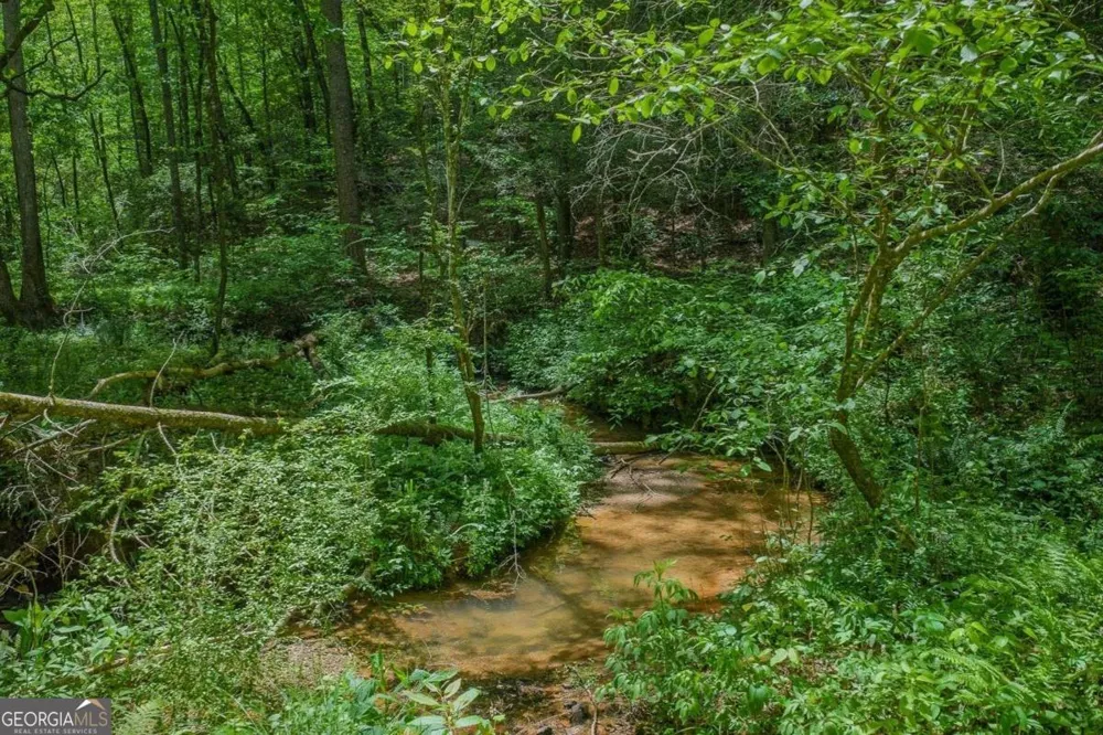 153 January LN Ellijay, GA 30540