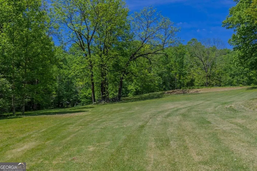 153 January LN Ellijay, GA 30540