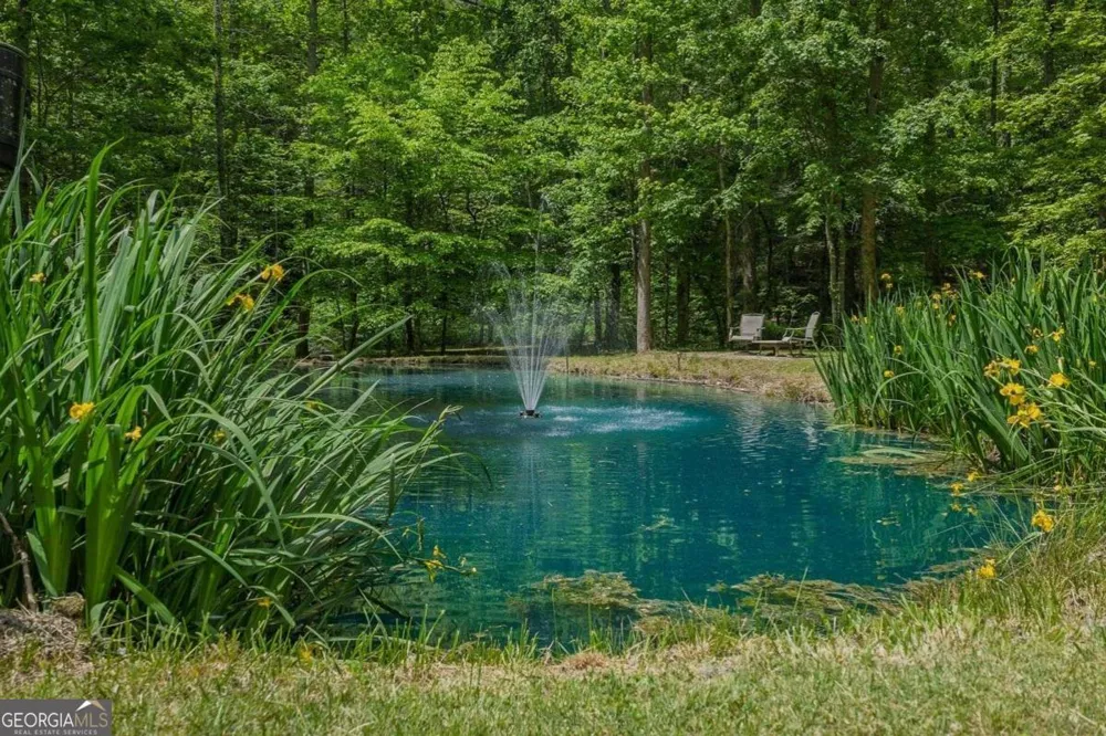 153 January LN Ellijay, GA 30540