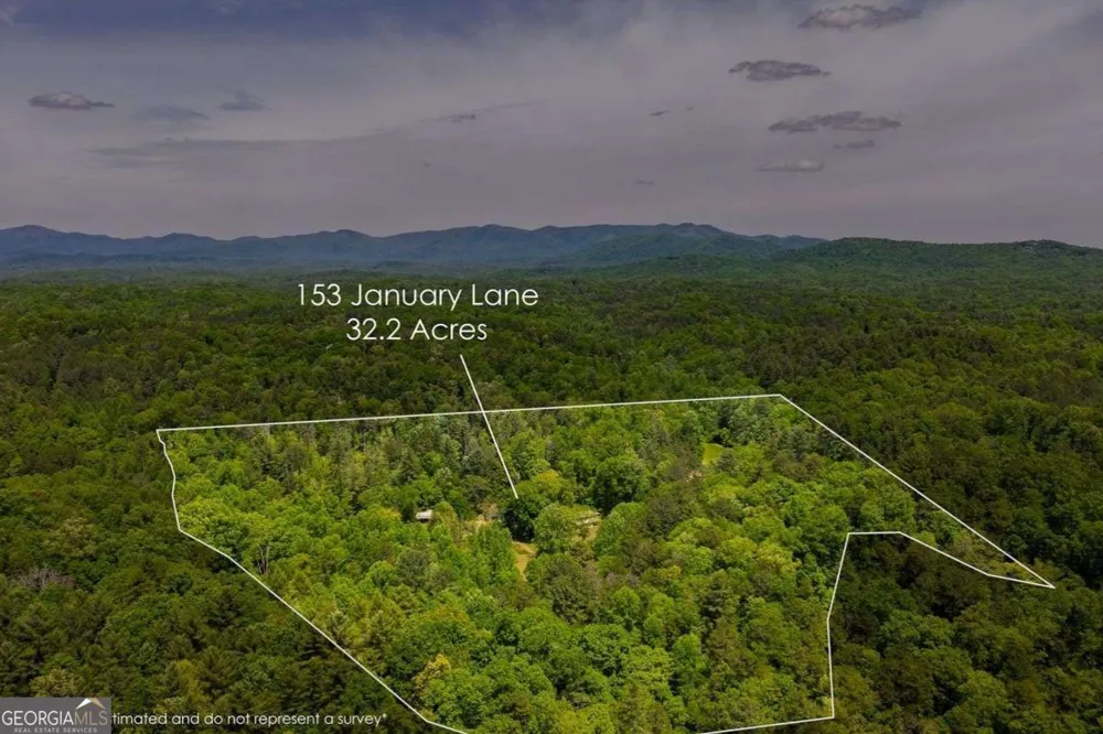 153 January LN Ellijay, GA 30540