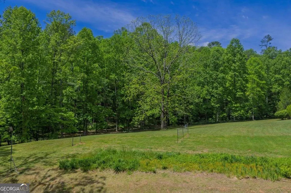 153 January LN Ellijay, GA 30540