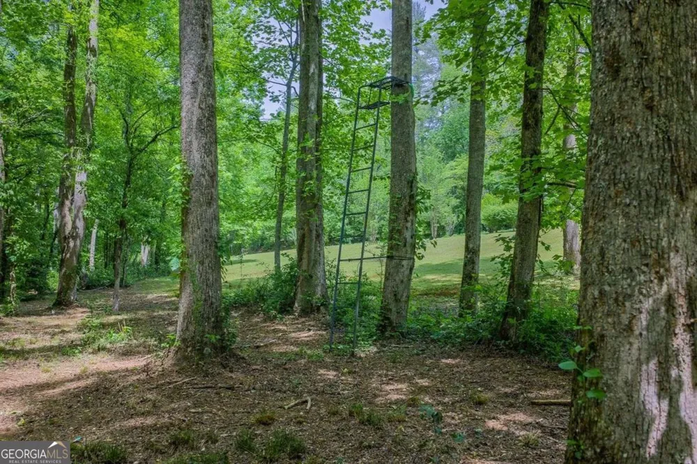 153 January LN Ellijay, GA 30540