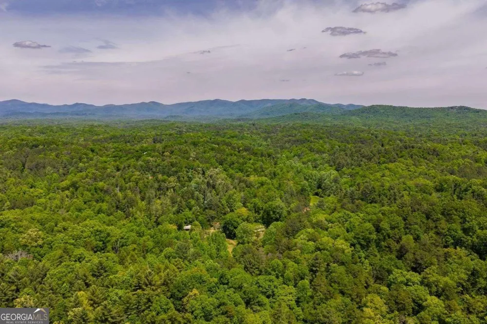 153 January LN Ellijay, GA 30540
