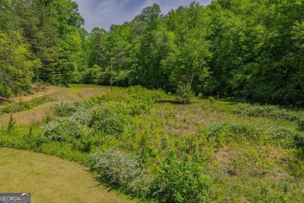 153 January LN Ellijay, GA 30540
