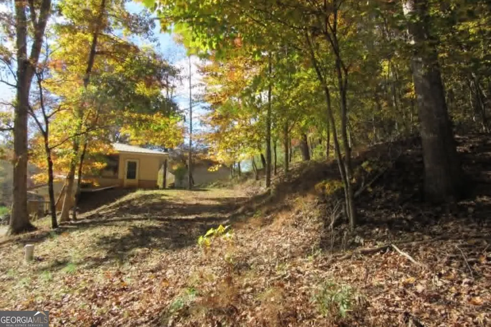 153 January LN Ellijay, GA 30540