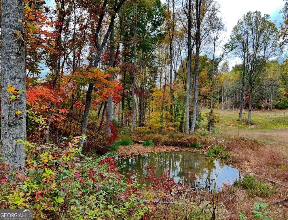 192 Flowers DR Blairsville, GA 30512