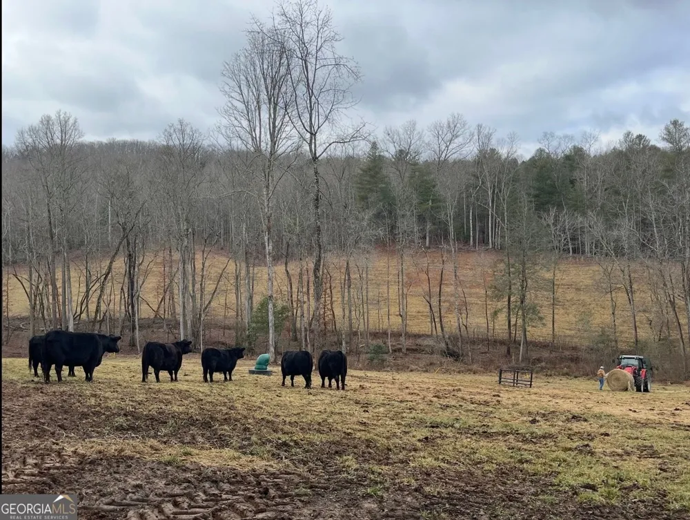 192 Flowers DR Blairsville, GA 30512