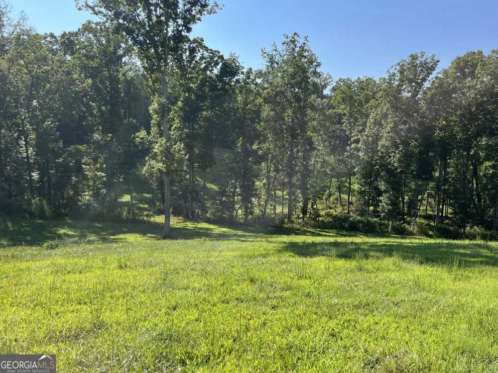192 Flowers DR Blairsville, GA 30512