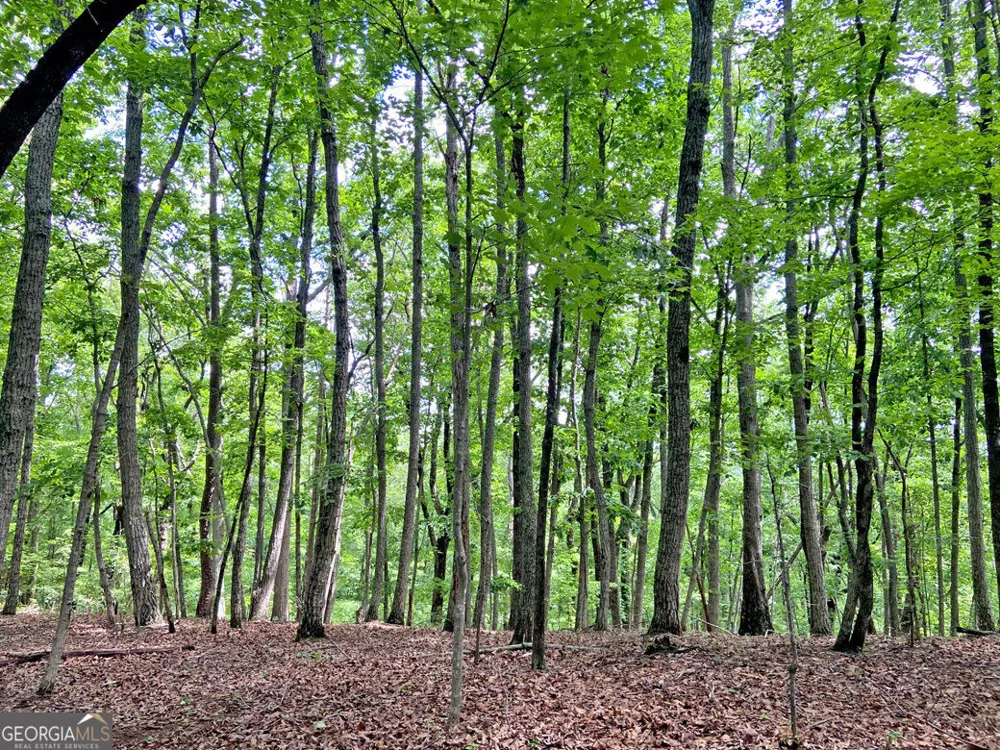 40.7AC Falling Pines Road Dahlonega, GA 30533
