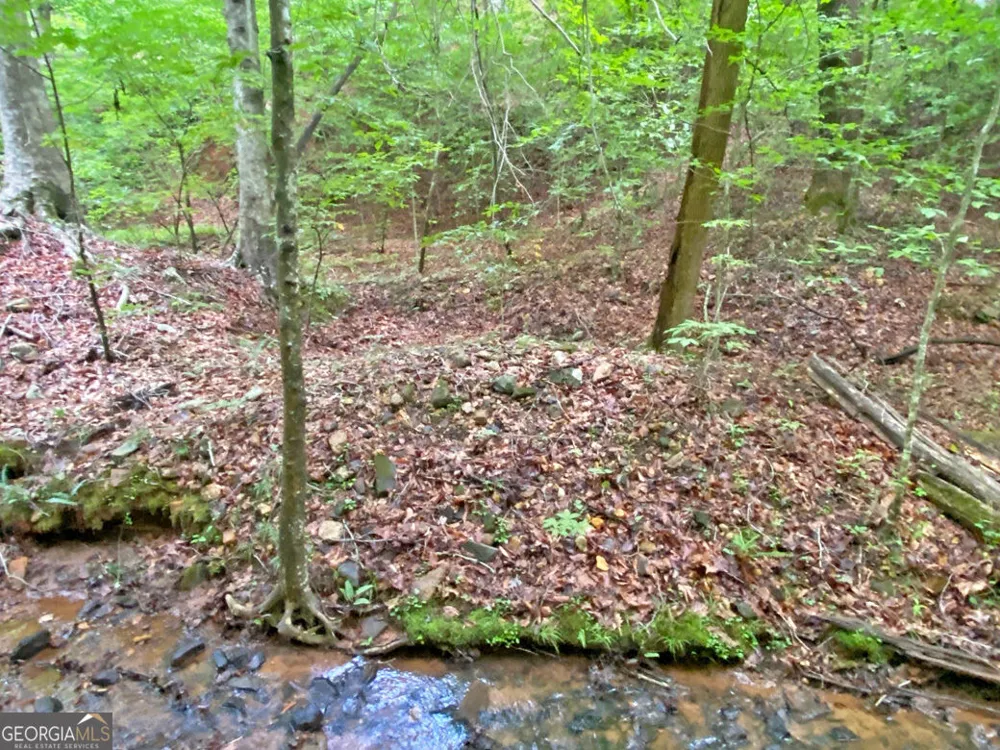 40.7AC Falling Pines Road Dahlonega, GA 30533