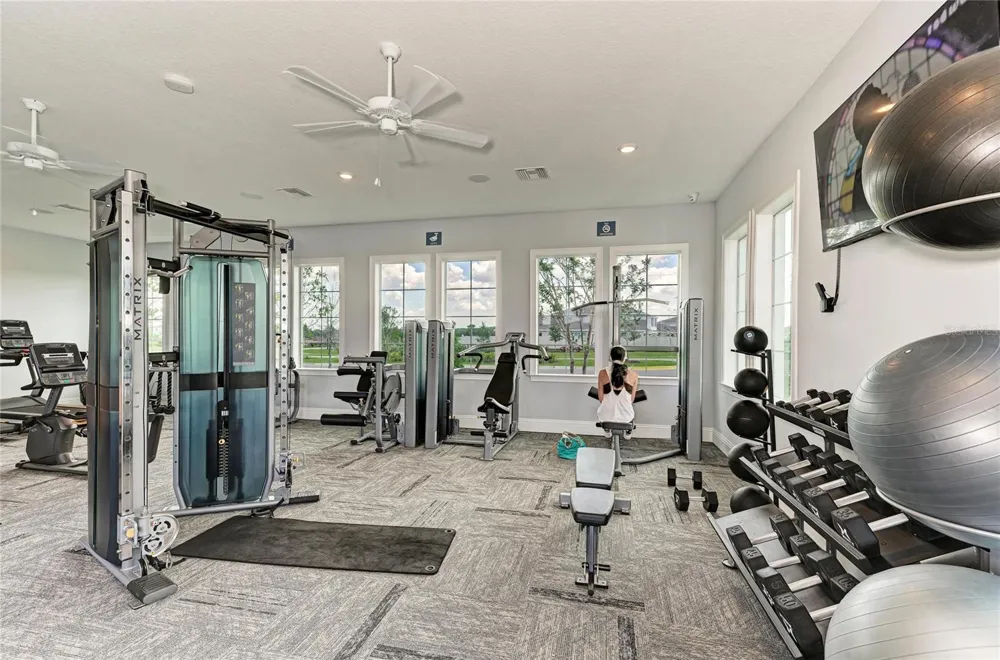12256 MOUNTAIN ISLAND TRAIL Parrish, FL 34219