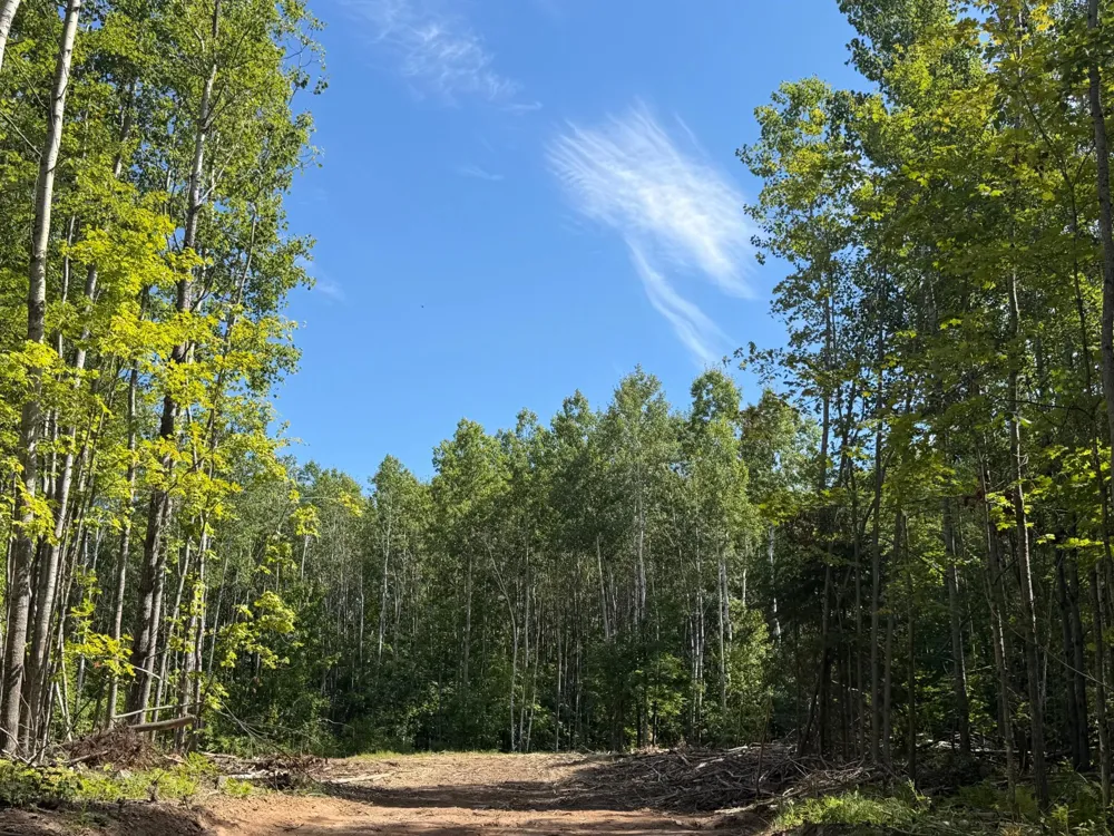 Parcel 4 County Road A Solon Springs, WI 54873