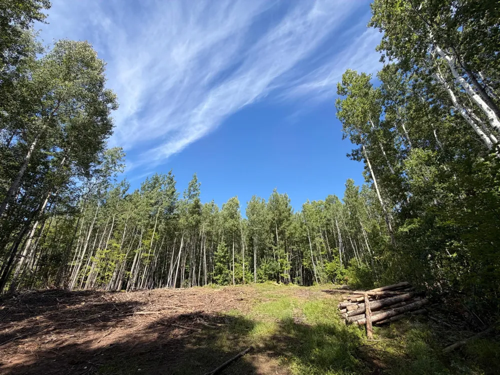 Parcel 4 County Road A Solon Springs, WI 54873