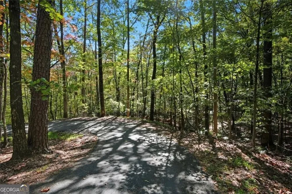 226 Wild Azalea CIR Jasper, GA 30143