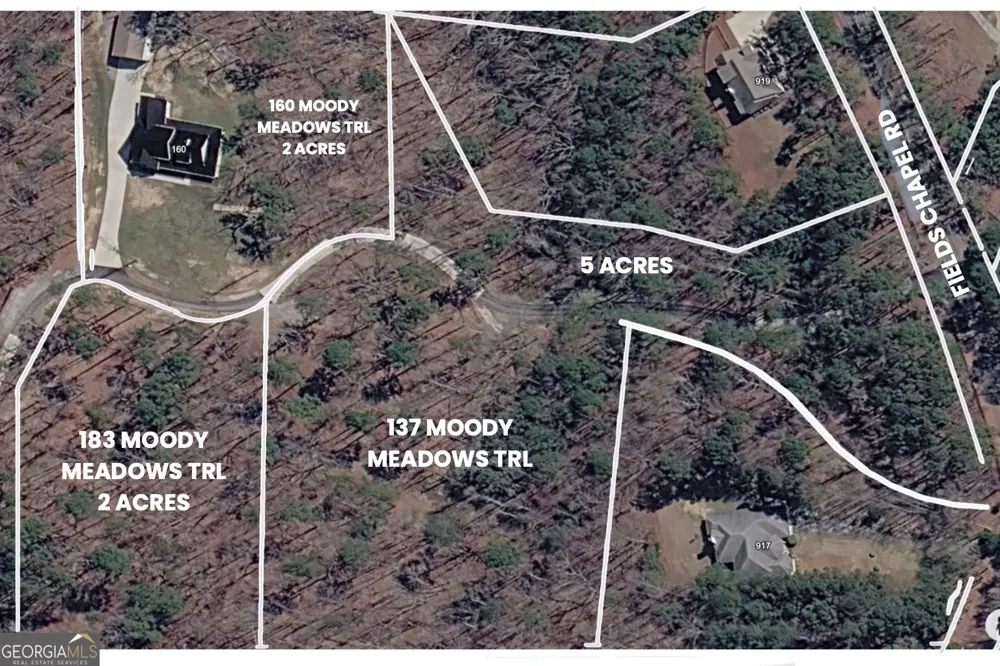 160 Moody Meadows TRL Canton, GA 30114