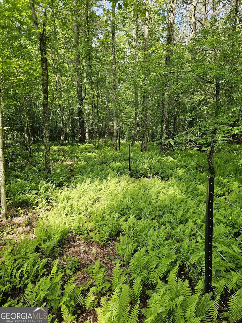 6480 Highway 52 W Dahlonega, GA 30533