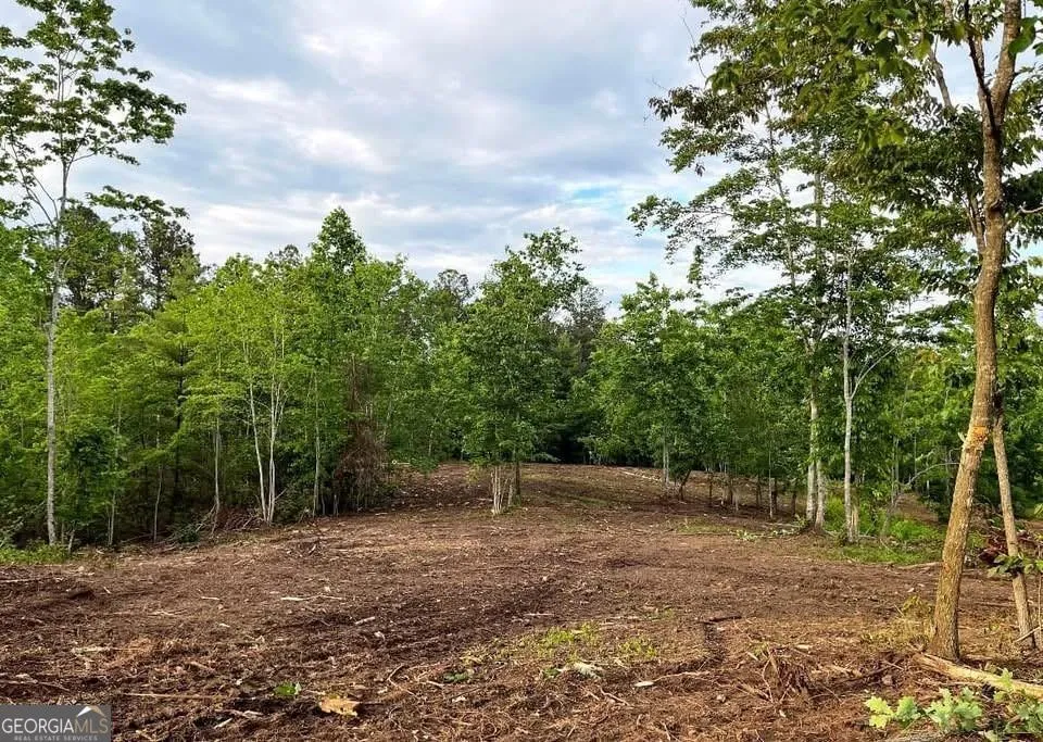 6480 Highway 52 W Dahlonega, GA 30533