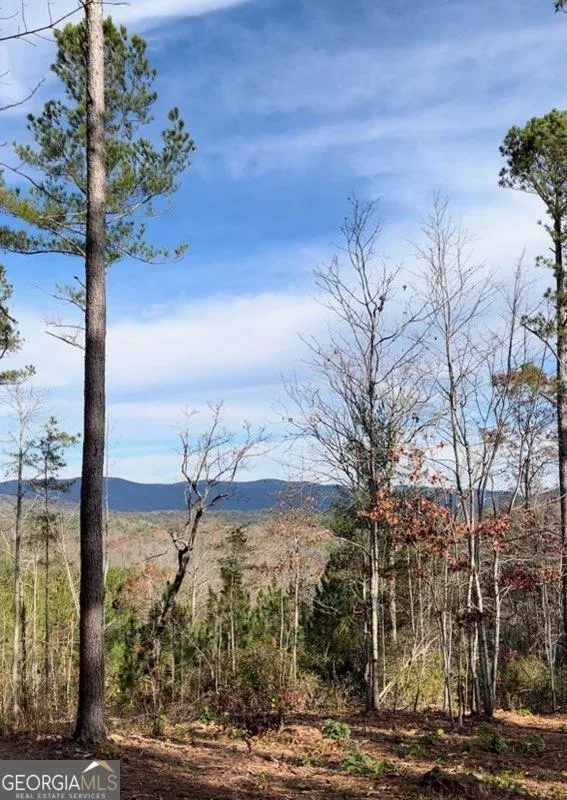 6480 Highway 52 W Dahlonega, GA 30533