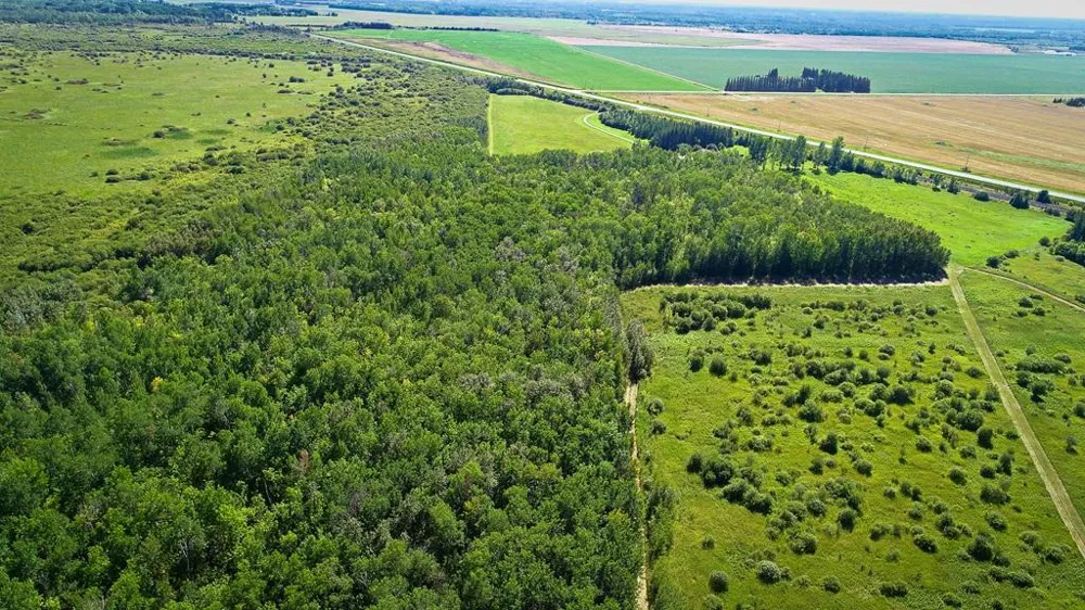 39090 State Highway 313 Warroad, MN 56763