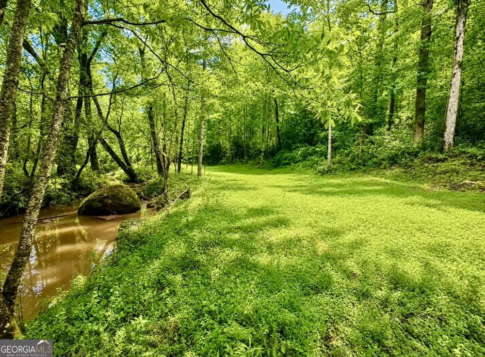 0 Rocky Creek RD Thomaston, GA 30286
