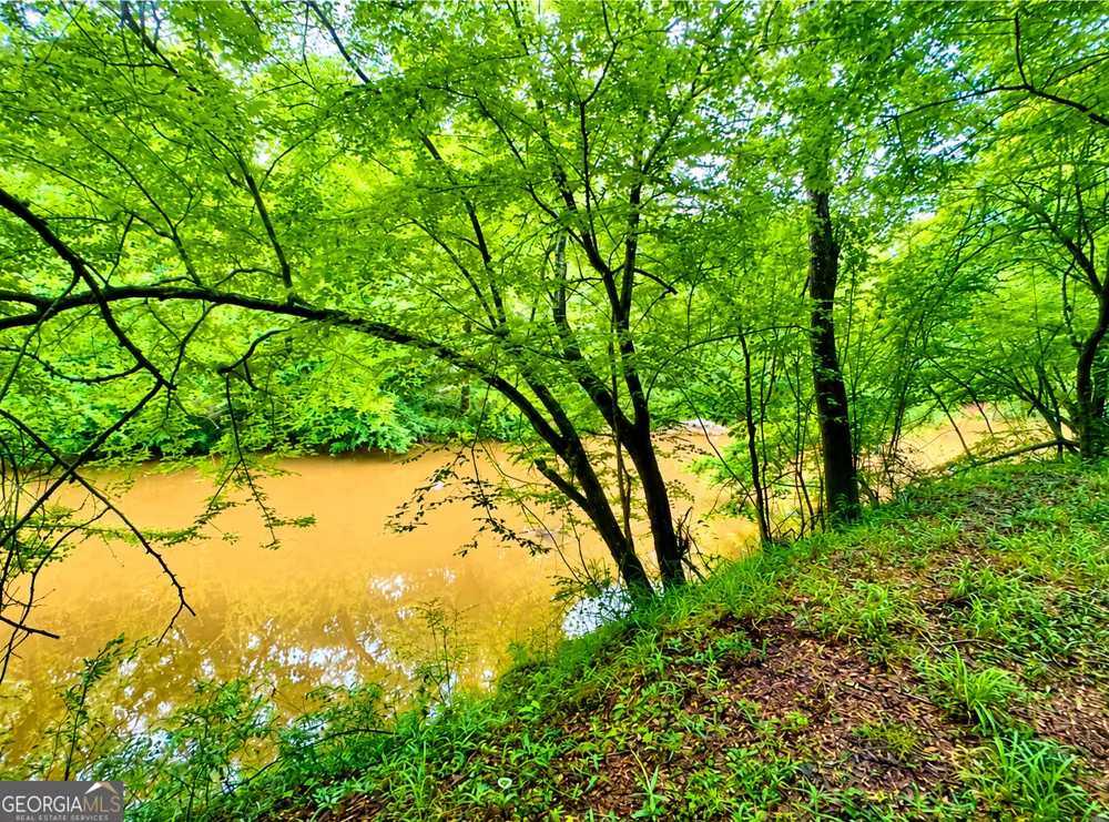 0 Rocky Creek RD Thomaston, GA 30286