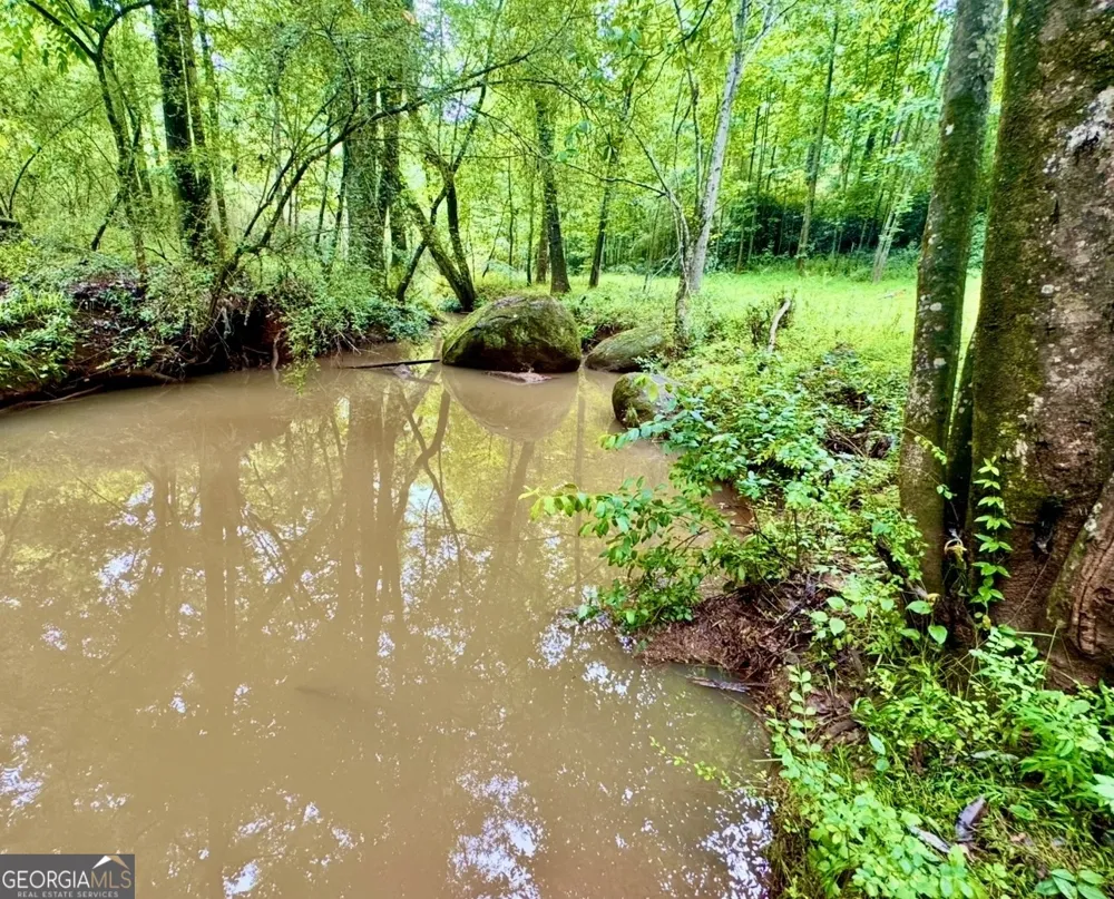 0 Rocky Creek RD Thomaston, GA 30286