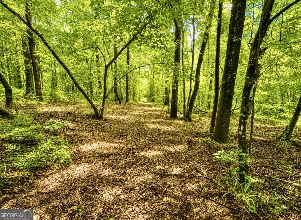 0 Rocky Creek RD Thomaston, GA 30286