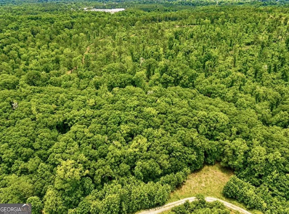 0 Rocky Creek RD Thomaston, GA 30286