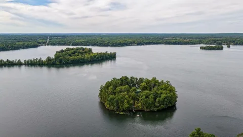 XXX Van Reed Island