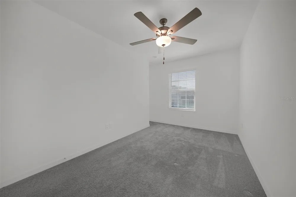 32201 POWDERPUFF MIMOSA DRIVE San Antonio, FL 33576