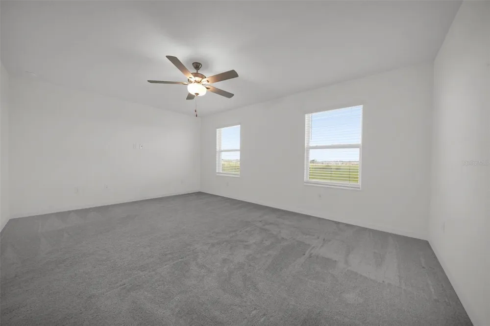 32201 POWDERPUFF MIMOSA DRIVE San Antonio, FL 33576