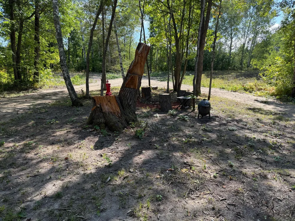6831 State 34 NW Akeley, MN 56433