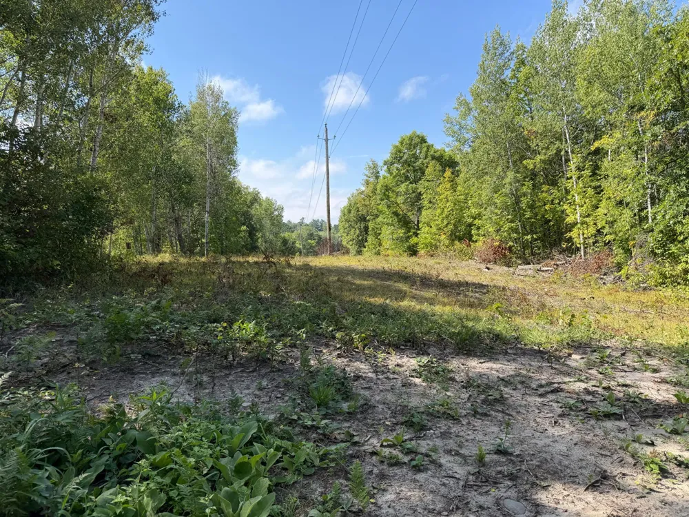 6831 State 34 NW Akeley, MN 56433