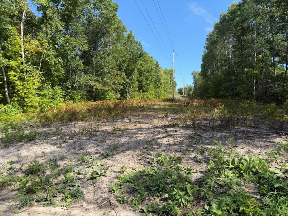 6831 State 34 NW Akeley, MN 56433