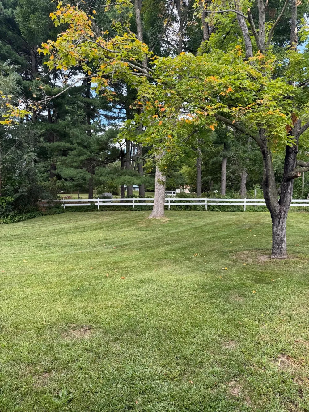 130 Arlington Drive Amery, WI 54001