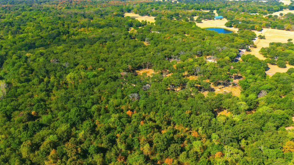 3291 County Road 3116 Lone Oak, TX 75453