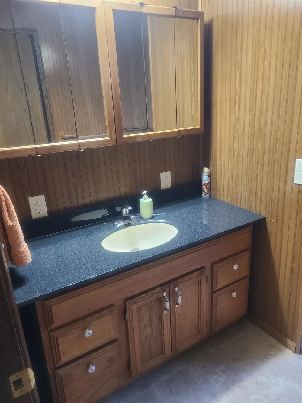 7763 Loud Drive Oscoda Charter Township, MI 48750