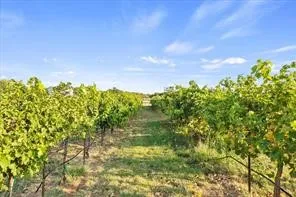 3399 S Peterson Road Iowa Park, TX 76367